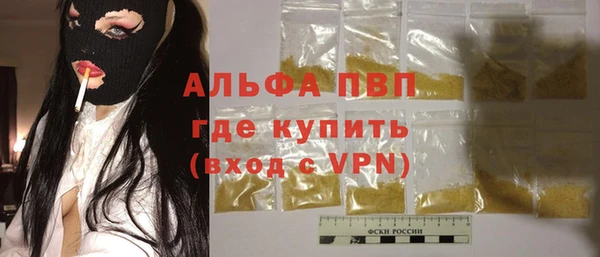 стафф Осташков