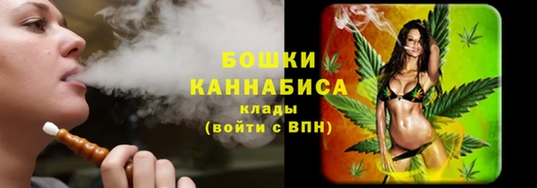 стафф Осташков