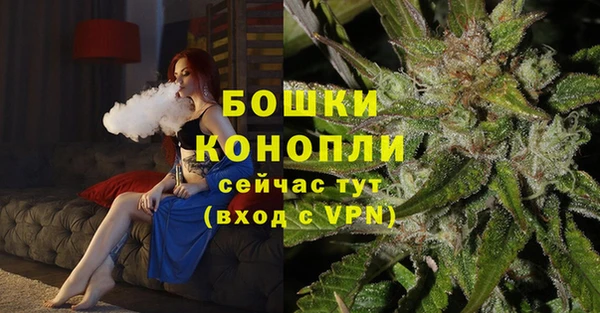 стафф Осташков
