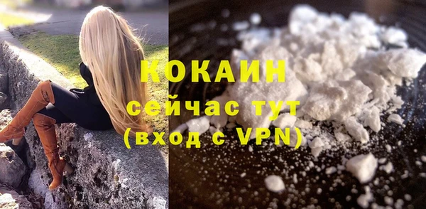 стафф Осташков