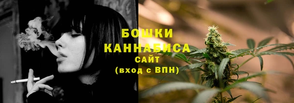 стафф Осташков