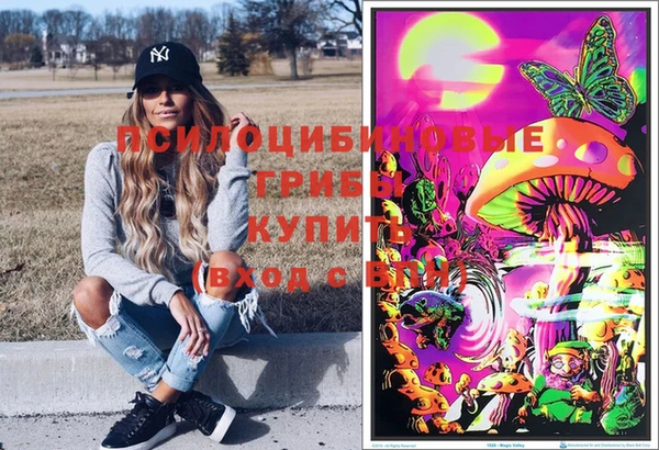 стафф Осташков