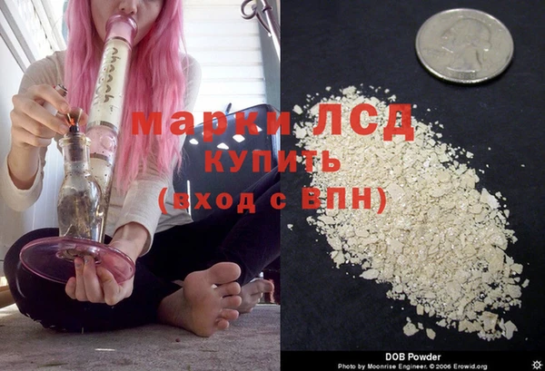 стафф Осташков