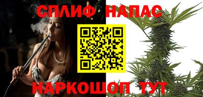 a pvp Дубна