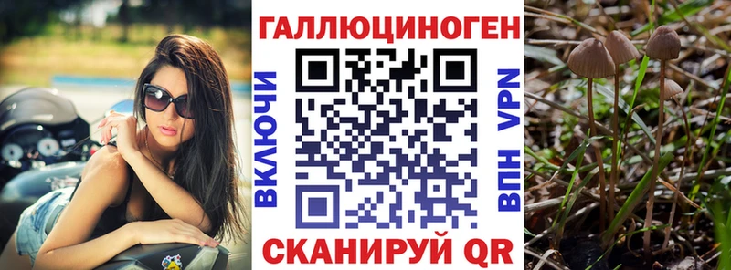 Галлюциногенные грибы мицелий  Нефтекамск 