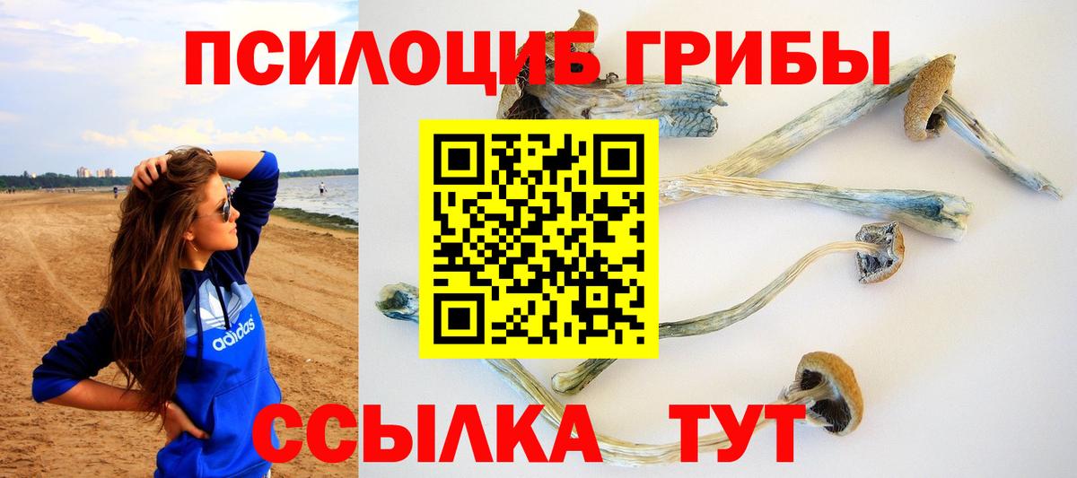 Галлюциногенные грибы Cubensis  Галлюциногенные грибы Psilocybine cubensis  Нефтекамск 