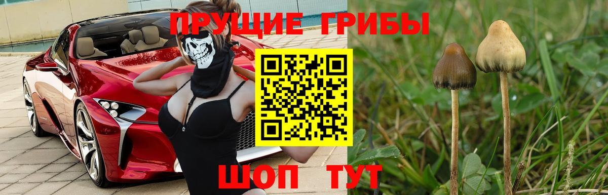 Галлюциногенные грибы MAGIC MUSHROOMS Нефтекамск